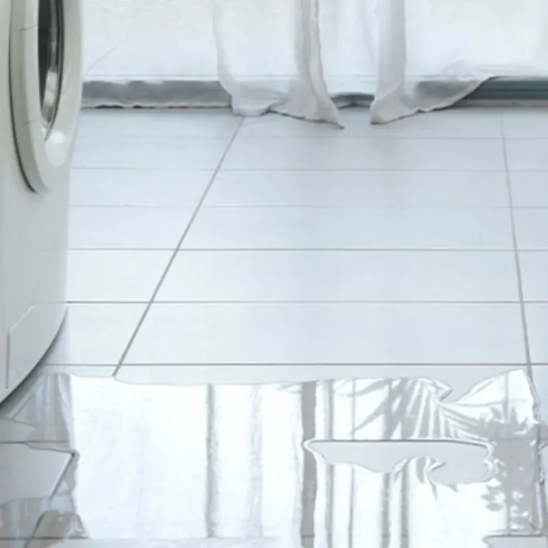 Appliance Leak Cleanup in Monongah, WV