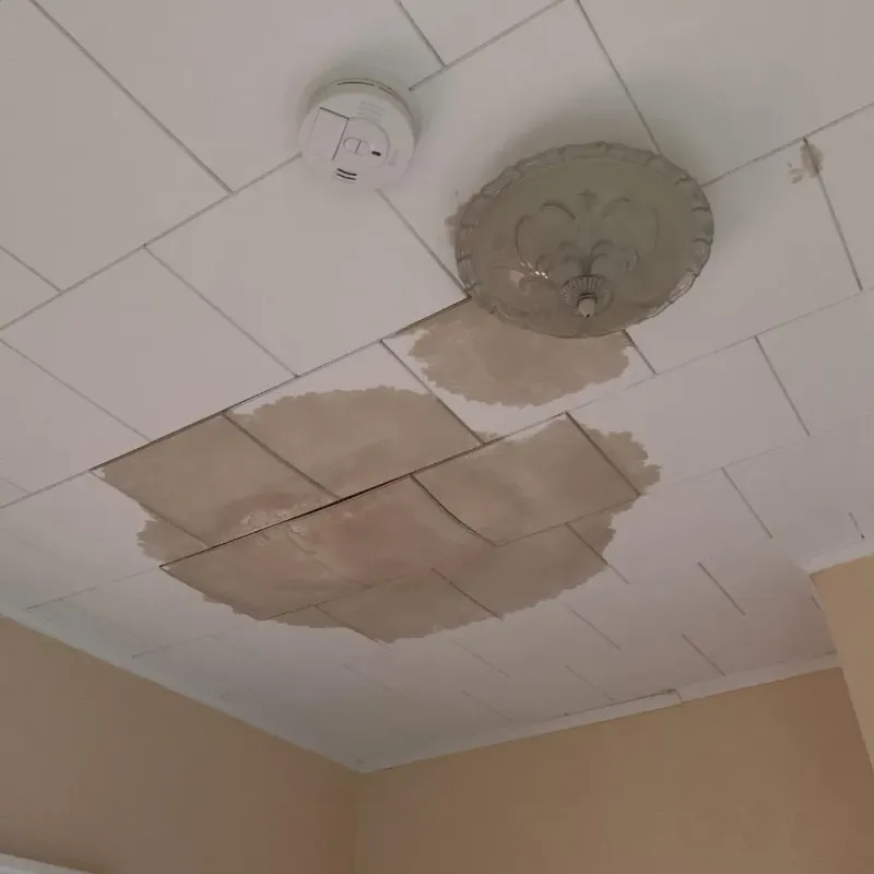 Ceiling Water Damage Repair in Monongah, WV