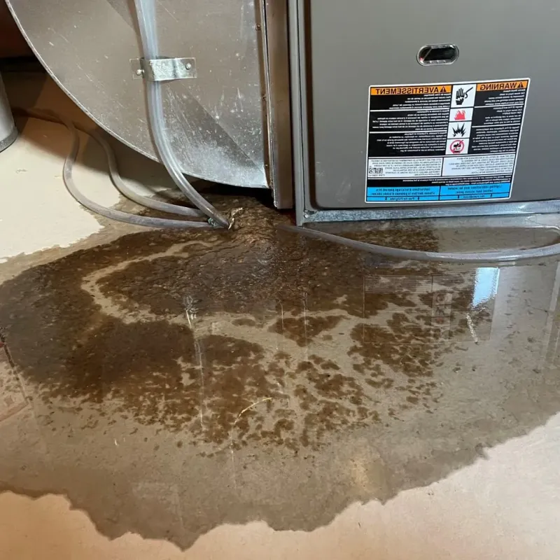 Pipe Burst and Leak Restoration in Monongah, WV