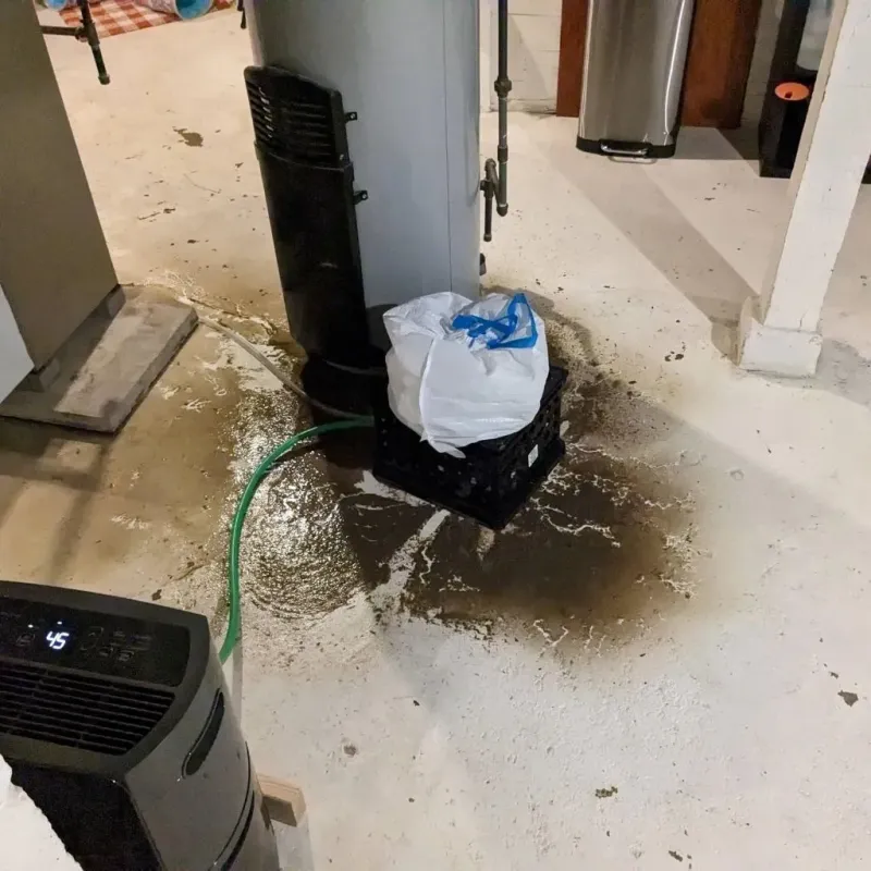 Sewage Backup Cleanup Service in Monongah, WV